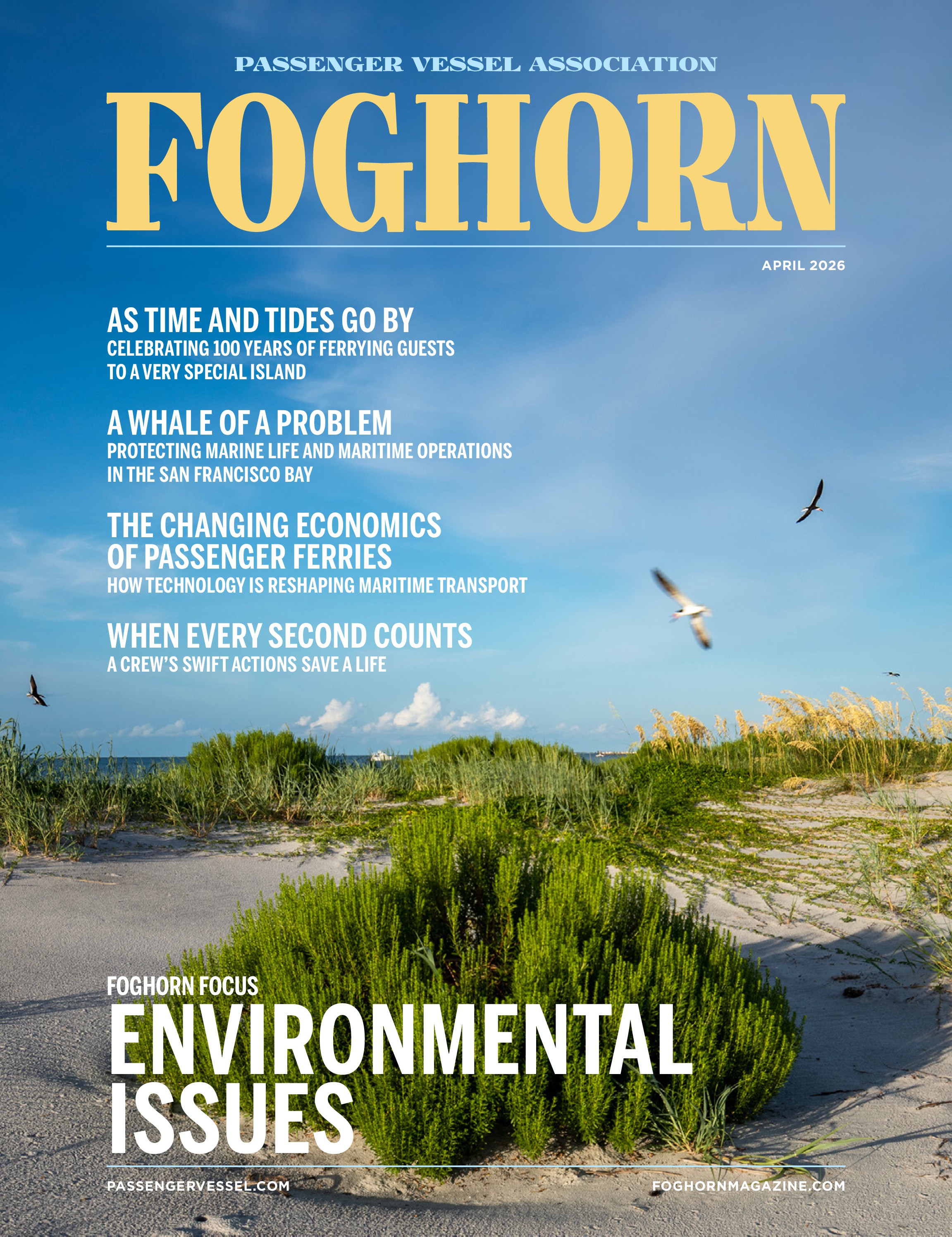 issue cover
