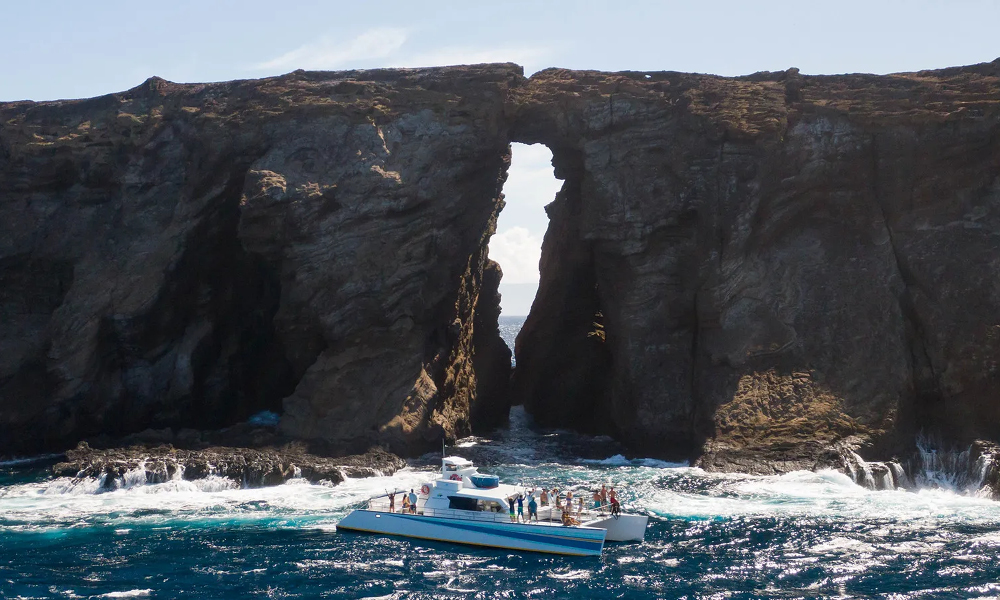 The Ninth Annual Passenger Vessel Foundation Silent Auction is Live